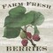 Farm Fresh Raspberries Poster Print by Sue Schlabach - Item # VARPDX22660